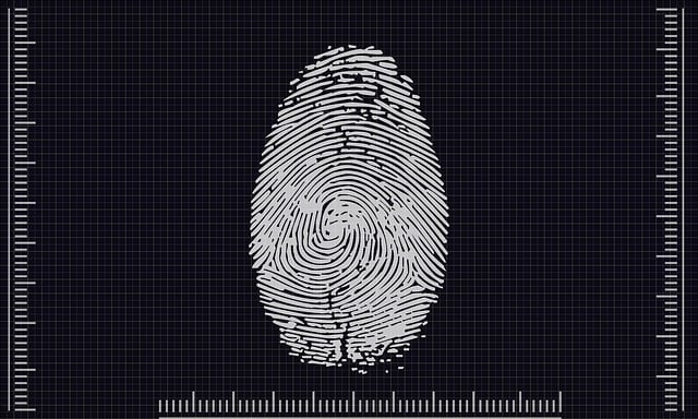 biometrics, access, identification