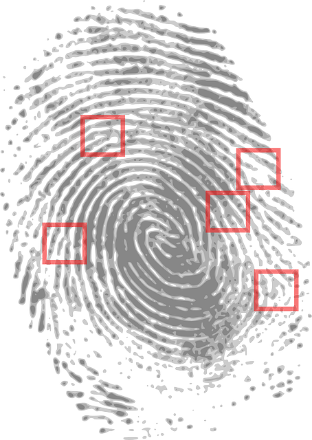 fingerprint, detective, criminal